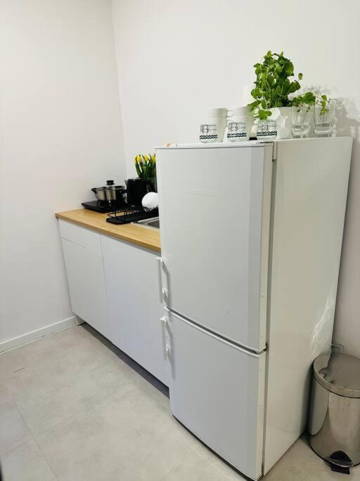Next To Motlava Apartment 格但斯克 外观 照片